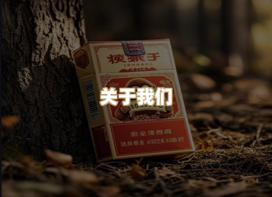 关于云歌烟网